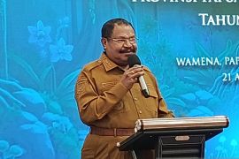 Pemprov harap dukungan Kemenhut kelola hutan lestari di Papua Pegunungan