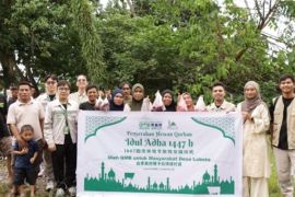 GEM salurkan empat sapi kurban bukti komitmen CSR