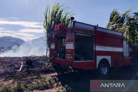BNPB: Cuaca panas dan angin kencang berpotensi perluas karhutla Aceh
