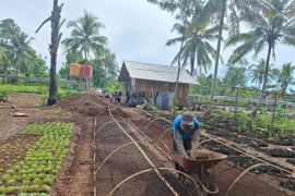 BPS catat nilai tukar petani Lampung pada Mei naik 3,29 persen