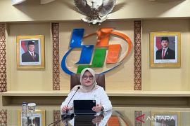 BPS sebut potensi produksi beras Mei-Juli 2026 capai 7,92 juta ton