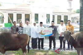 Bank Sumsel Babel distribusikan Bantuan Hewan Kurban ke Masyarakat Sumsel dan Babel