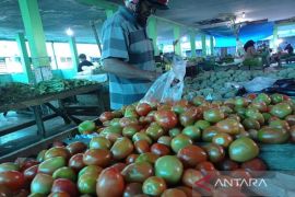 Harga tomat melonjak picu inflasi Mei di Aceh sebesar 0,60 persen