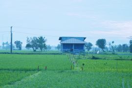 Mengenal asas kontradiktur delimitasi, kunci kepastian batas bidang tanah