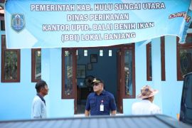 Bupati HSU tinjau UPT BBI Banjang untuk dorong kemandirian benih