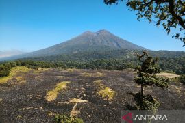 BPBD NTB mengimbau warga waspadai karhutla di kawasan Rinjani
