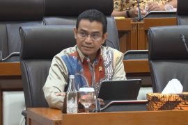 Anggota DPR: Pertumbuhan sektor ekraf harus didukung ekosistem sehat