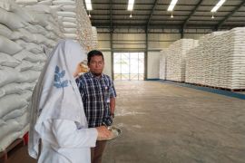 Bulog Makassar serap beras petani 58.147 ton di lima daerah Sulsel