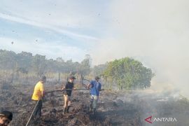 BNPB: Sebaran karhutla masih melanda dua kabupaten di Aceh