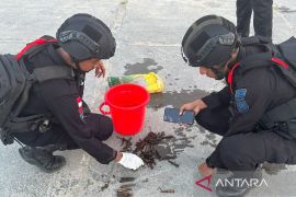 Tim Jibom temukan mortir-amunisi aktif peninggalan PD II di Biak