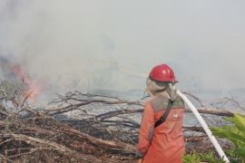 Indonesia ramps up efforts to fight forest fires in Sumatra