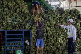 BPS catat nilai tukar petani Sumbar periode Mei capai 130,73
