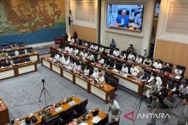 Komisi VII DPR minta Kemenpar lakukan pemetaan pariwisata di kawasan