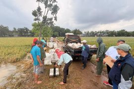 Bulog Jakarta-Banten catat realisasi gabah petani capai 69.042 ton