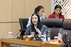 Anggota DPR minta Kemenpar petakan daya saing regional Indonesia