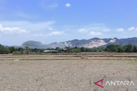 WMO ingatkan El Nino menguat, cuaca ekstrem berisiko meningkat