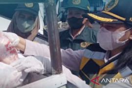 BKHIT Maluku periksa 14 ton daging ayam beku asal Surabaya