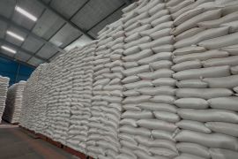 Bulog Bali serap hampir 5 ribu ton setara beras petani lokal