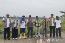 Bulog Jambi serap beras petani 3.795 ton hingga awal Juni 2026
