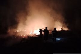 BPBD Muara Enim catat empat peristiwa karhutla selama sepekan