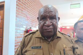 Papua Pegunungan perkuat tata kelola data pembangunan daerah