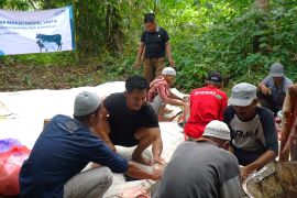 YBM PLN UID Kalselteng salurkan daging kurban kepada warga pedalaman Meratus
