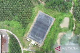 PKS Tapung Optimalkan Limbah Jadi Pupuk Organik dan Energi Baru Terbarukan