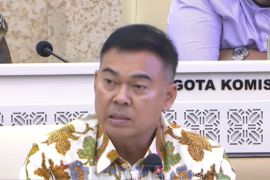 Anggota DPR dorong penguatan BPD sebagai penggerak ekonomi daerah