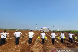 SGN dukung program hilirisasi perkebunan nasional