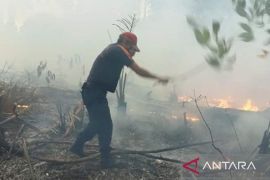 BPBD Babel tangani 67 kejadian karhutla sepanjang Januari-Mei 2026