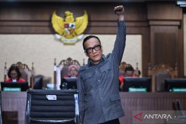 Hakim: Prestasi Noel perlu diapresiasi tanpa hilangkan pidana