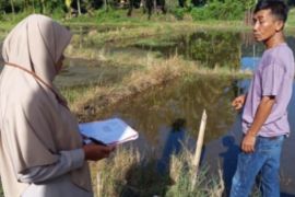 Kantor Pertanahan Pasaman laksanakan pemeriksaan tanah di Nagari Aia Manggih