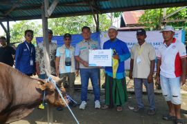 YBM PLN Kalselteng hadirkan kebahagiaan Idul Adha bagi warga Tinggiran Baru setelah 24 tahun