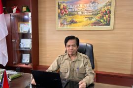 BBRMP Maluku manfaatkan aplikasi digital untuk bantu petani dan penyuluh akses informasi