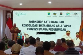 Bapperida Papua Pegunungan pastikan data akurat jadi dasar pembangunan