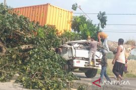 Dua orang meninggal akibat pohon tumbang menimpa kontainer di Karawang pada Jumat sore