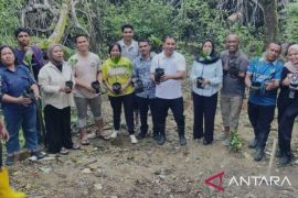 Rutan Ambon tanam mangrove sambut Hari Lingkungan Hidup Sedunia jaga keberlangsungan kawasan pesisir