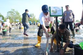 Pemprov Babel tanam mangrove peringati HKG PKK Ke-54