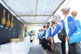Syngenta Indonesia luncurkan inovasi fungisida untuk budidaya padi
