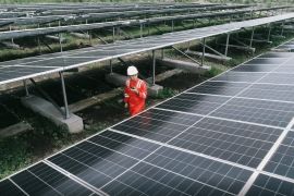 PLN Indonesia Power bidik pasar Amerika Latin dan Karibia