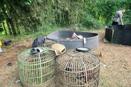 Polisi bongkar praktik judi sabung ayam di Cibatu Garut