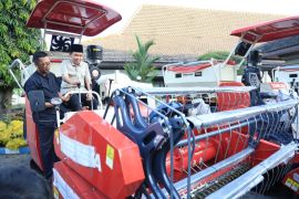 Pemkab Jember perkuat produksi pangan melalui optimalisasi lahan