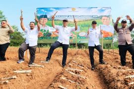 Kementan dorong percepatan tanam tebu demi swasembada gula