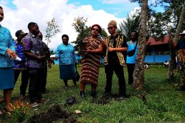 Pemprov ajak generasi muda Papua Pegunungan tanam pohon jaga keseimbangan alam