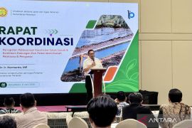 Kementan perkuat cetak sawah di Kalimantan percepat swasembada pangan