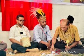 Indigenous rights in Papua backed by constitution, DPD says
