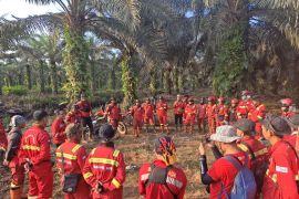 Manggala Agni tunjukkan hasil signifikan dalam menangani karhutla Riau