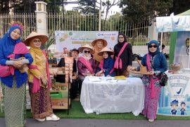 BB POM Pekanbaru gelar puncak Pekan Jamu Nasional di Area Car Free Day