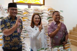 Bulog DKI-Banten siapkan langkah strategis jaga harga pangan