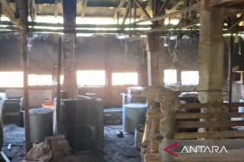 Kopti Cianjur catat kenaikan kedelai saat ini lebih terkendali